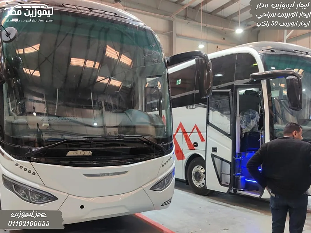 Professional Airport Pickup: Limo Bus 50 Egypt