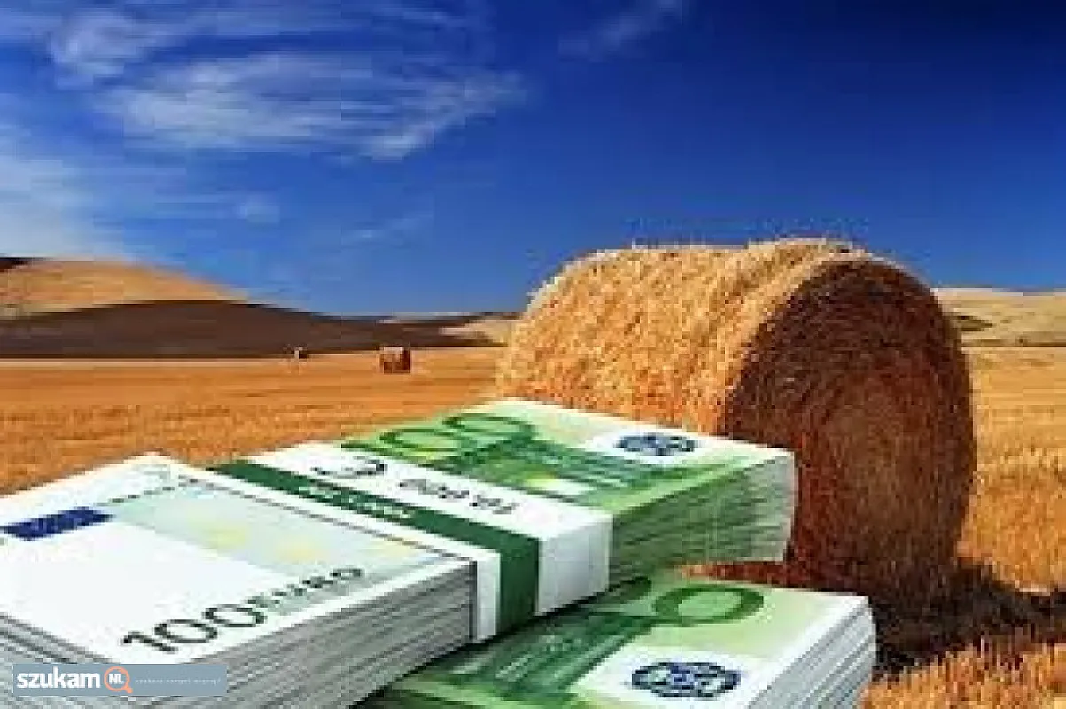 HOW TO GET YOUR LOAN TODAY