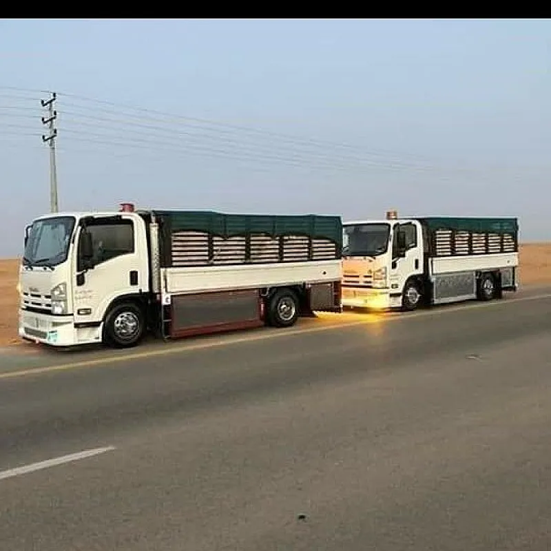 وانيت نقل عفش حي السعادة