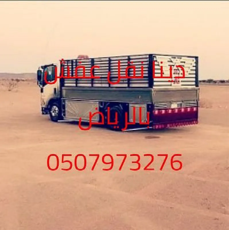 دينا نقل عفش حي قرطبة 0َ507973276 دينا طش الاغراض القديمة بالرياض